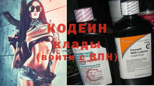 мдпв Богданович