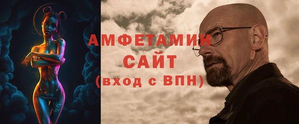 мдпв Богданович