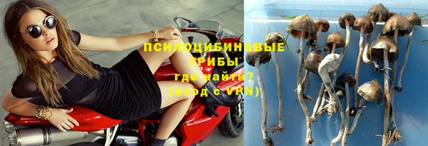 мдпв Богданович