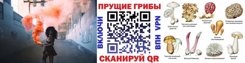 ОМГ ОМГ зеркало  Циолковский  Галлюциногенные грибы мухоморы 