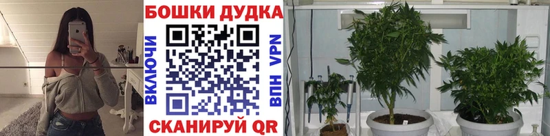 купить наркотик  Циолковский  Конопля марихуана 